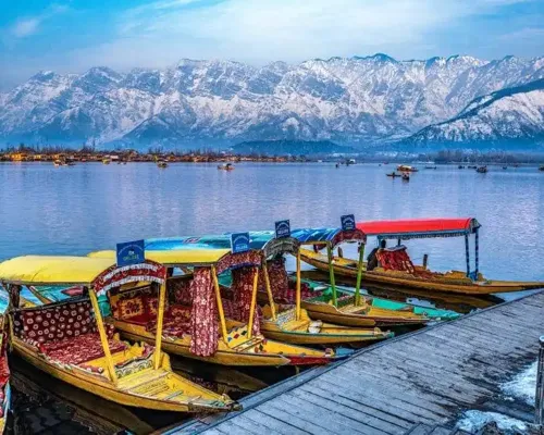 Dal Lake with Shikaras