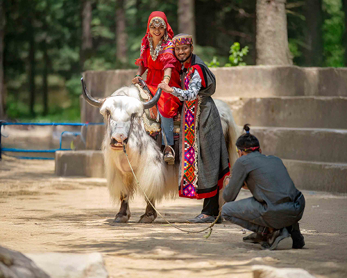 enchanting-himachal-honeymoon-special-exdelhi (8)