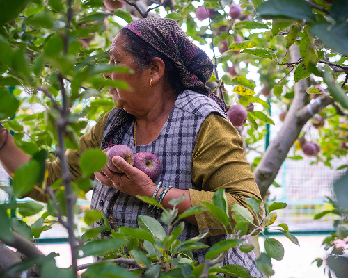 Hidden Gems | KINNAUR SPECIAL